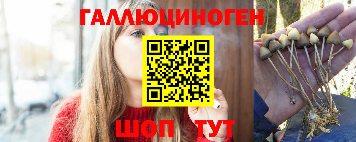 Галлюциногенные грибы мухоморы Артёмовский