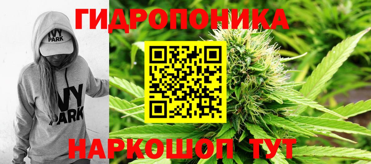 Артёмовский  Каннабис планчик  Вход с VPN  Бошки Шишки White Widow  МАРИХУАНА SATIVA & INDICA  Шишки марихуана LSD WEED 